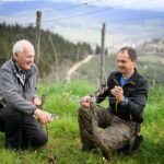Chianti Winery Tour with Wine & Food Tasting near Florence - Tasting the Wines: A Flavor Journey