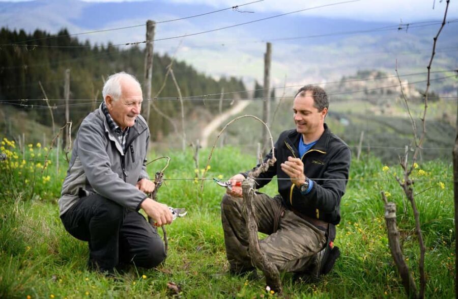 Chianti Winery Tour with Wine & Food Tasting near Florence - Tasting the Wines: A Flavor Journey