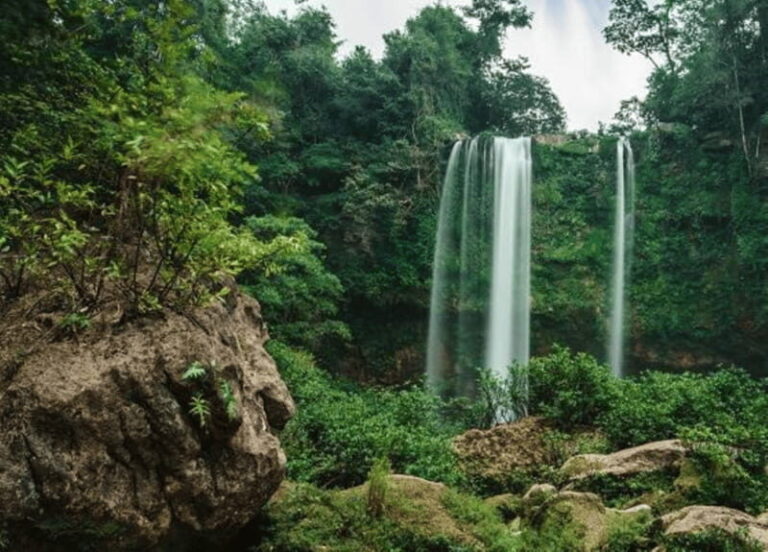 Chiapas: Blue Water - Misol-Ha Palenque Adventure - Frequently Asked Questions