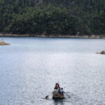 Chiapas: El Chiflón Waterfalls and Montebello Lakes Tour - The Vibrant Montebello Lakes Experience