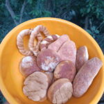 Chiapas: Immersive Zoque Culinary Experience - Who Should Consider This Tour?