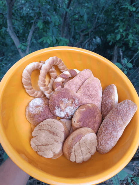 Chiapas: Immersive Zoque Culinary Experience - Who Should Consider This Tour?