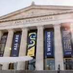 Chicago Attractions Pass: Save up to 50% - Includes 360 CHICAGO - Final Thoughts