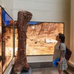 Chicago: Field Museum of Natural History Ticket or VIP Tour - Authentic Reviews: What Visitors Are Saying