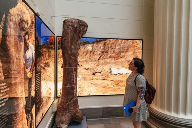 Chicago: Field Museum of Natural History Ticket or VIP Tour - Authentic Reviews: What Visitors Are Saying