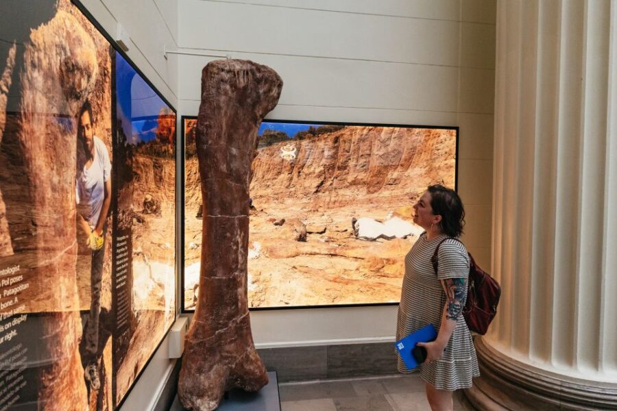 Chicago: Field Museum of Natural History Ticket or VIP Tour - Authentic Reviews: What Visitors Are Saying