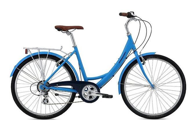 Chicago Half-Day Bike Rental - Final Thoughts: Is It Worth It?