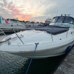 Chicago Private Boat Day - Sunset, Skyline & Celebration - Who Will Love This Tour?