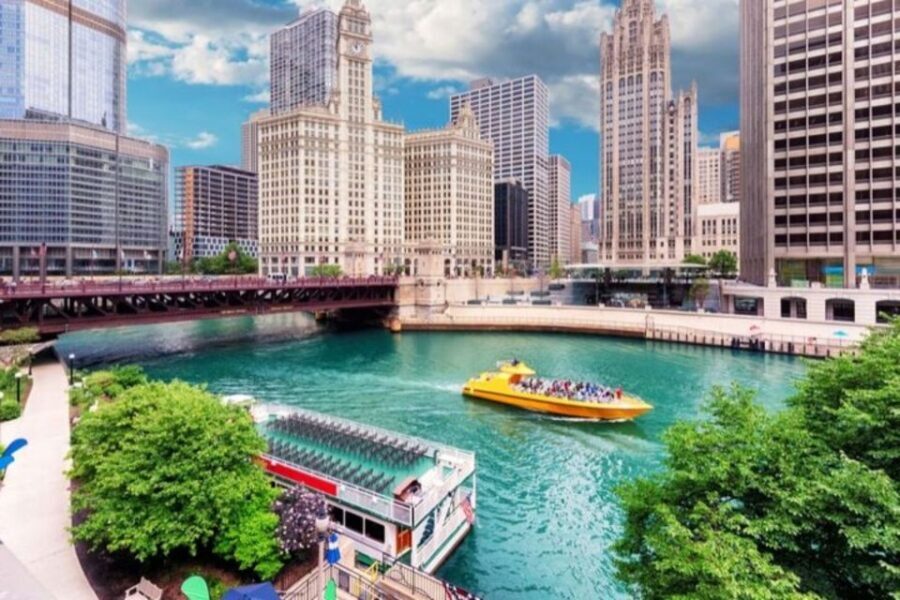 Chicago: Private custom tour with a local guide - A Detailed Breakdown of the Tour Experience