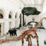 Chicago Self-Guided Audio Tour - Who Should Consider This Tour?