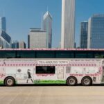 Chicago: Tea Around Town With Curated Teas & Iconic Sights - Exploring the Chicago Tea Tour: A Closer Look