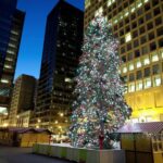 Chicagos Festive Lights: Private Magical Christmas Journey - Who Will Love This Tour?