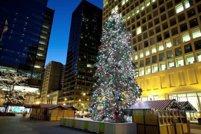 Chicagos Festive Lights: Private Magical Christmas Journey - Who Will Love This Tour?
