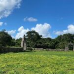 Chichen Itza Mayan Flavors and Jungle at Hacienda Privada with Cenote - The Sum Up