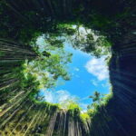 Chichen Itza Tour with Lunch and Transportation from Playa del Carmen - What makes this tour stand out?