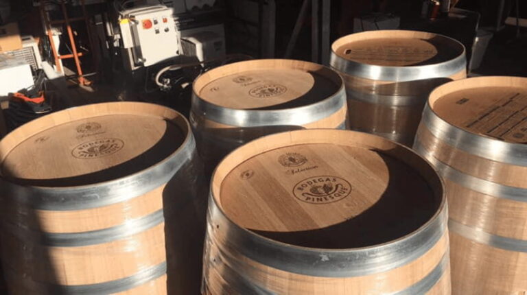 Chihuahua: Insignia Winery Wine Tasting Experience - What’s Included in the Experience?