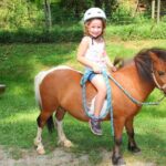 Children Mini Horse Rides - An In-Depth Look at Children Mini Horse Rides in Asheville