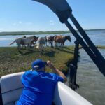 Chincoteague: Premier Pony & Wildlife Small Group Boat Tour - The Sum Up: Who Is This Experience Best For?