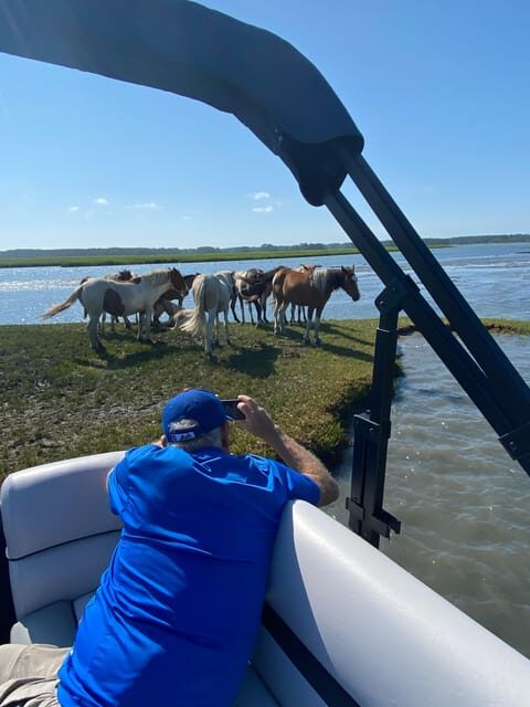 Chincoteague: Premier Pony & Wildlife Small Group Boat Tour - The Sum Up: Who Is This Experience Best For?