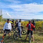 Chinon: Bicycle Tour of Saumur Wineries with Picnic Lunch - Practical Details: What This Tour Means for You
