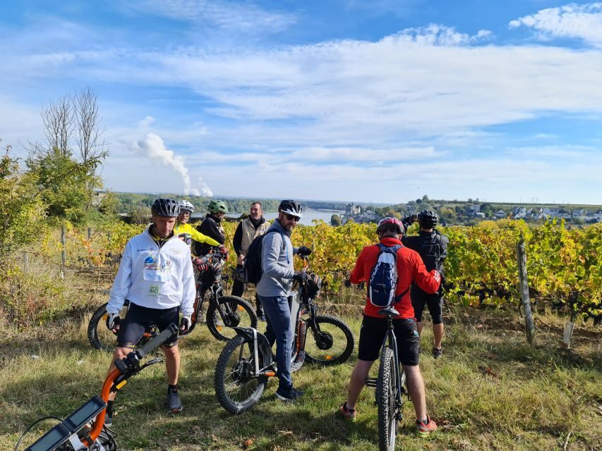 Chinon: Bicycle Tour of Saumur Wineries with Picnic Lunch - Practical Details: What This Tour Means for You