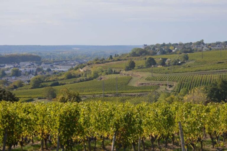 Chinon : Discovery Tours and Wine Tasting - Exploring the Chinon Experience in Depth