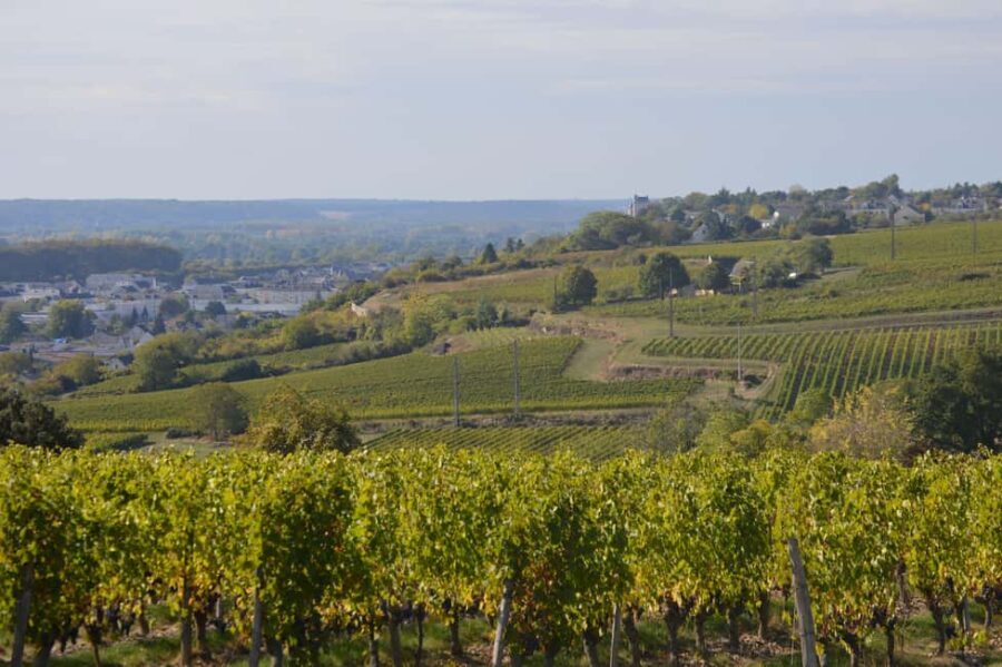 Chinon : Discovery Tours and Wine Tasting - Exploring the Chinon Experience in Depth