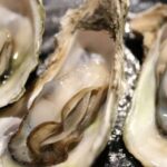 Chioggia: discover aquaculture techniques in a typical boat - Who Will Love This Experience?