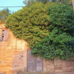 Chios: Kampos Private Walking Tour - A Detailed Look at the Kampos Private Walking Tour