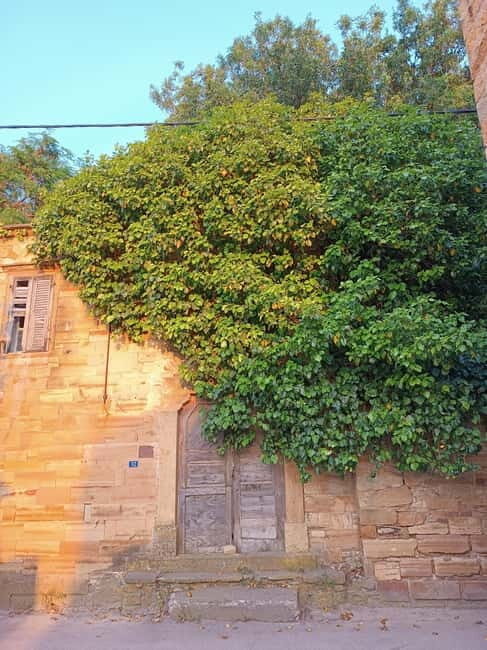 Chios: Kampos Private Walking Tour - A Detailed Look at the Kampos Private Walking Tour
