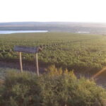 Chisinau: City Tour and Cojusna Winery with Tasting - Who This Tour Is Best For