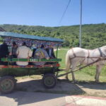 Chisinau: Cricova Wine tour &Old Orhei Archeological Complex - Practicalities and What to Expect