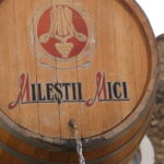 Chisinau: Milesti Mici largest wine collection in the world - Who Should Consider This Tour?
