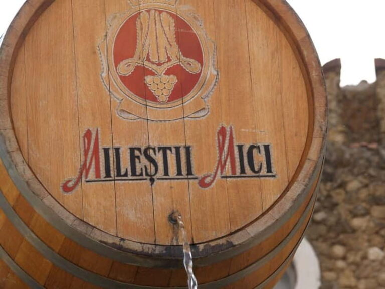 Chisinau: Milesti Mici largest wine collection in the world - Who Should Consider This Tour?