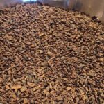 Chocolate Tour Including Hot Chocolate and Samples - Analyzing the Value