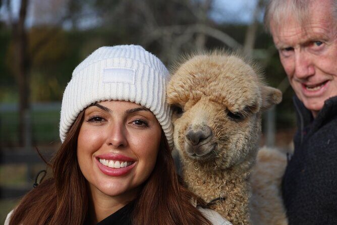 Christchurch Alpaca Farm Tour From Kaiapoi - What to Expect on the Tour