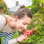 Christchurch Gondola and Tram City Tour Combo - Breaking Down the Itinerary