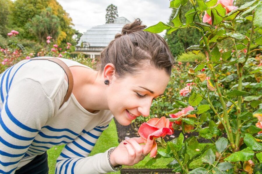 Christchurch Gondola and Tram City Tour Combo - Breaking Down the Itinerary