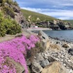 Christchurch: Guided Crater Rim Walk with Picnic - Exploring the Experience in Depth