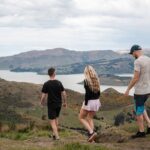 Christchurch Highlights Tour (Full Day Private) - The Complete Breakdown of the Christchurch Highlights Tour