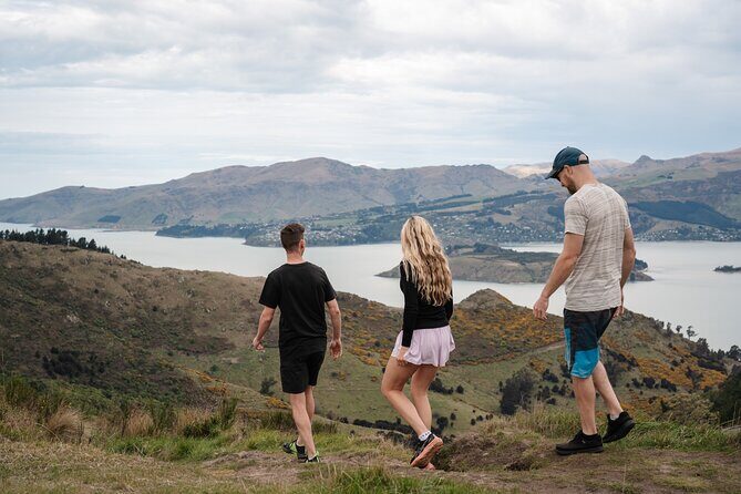 Christchurch Highlights Tour (Full Day Private) - The Complete Breakdown of the Christchurch Highlights Tour