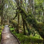Christchurch to Franz Josef 1-Way Small Group Tour via Hokitika - Lake Lyndon: First Stop for Tranquility and Trout