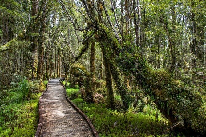 Christchurch to Franz Josef 1-Way Small Group Tour via Hokitika - Lake Lyndon: First Stop for Tranquility and Trout