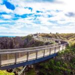 Christchurch to Franz Josef Tour with TranzAlpine (1 way) - The Itinerary in Detail