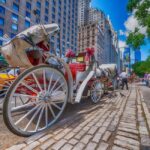 Christmas in Central Park: Horse Carriage Holiday Tour - Why Choose This Experience?