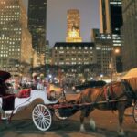 Christmas in New York: Holiday Lights Horse Carriage Ride - Experience the Magic of Christmas in New York with a Horse Carriage Ride