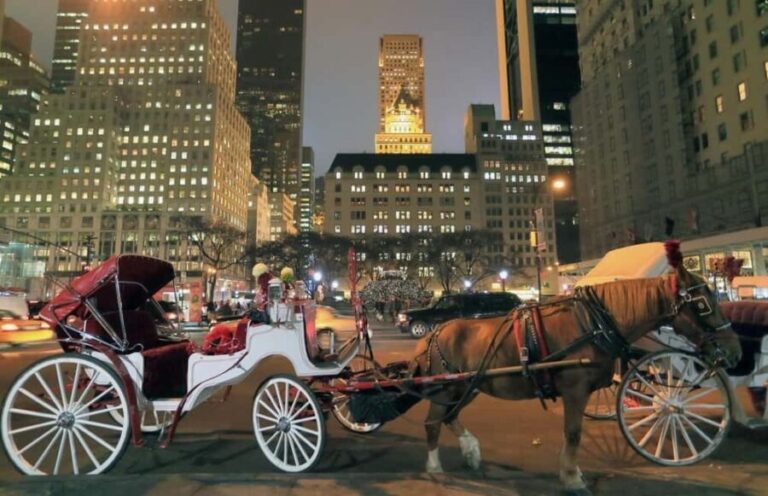 Christmas in New York: Holiday Lights Horse Carriage Ride - Experience the Magic of Christmas in New York with a Horse Carriage Ride