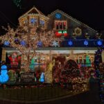 Christmas Light Night tour - The Value of This Experience