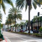 Christmas Lights in Beverly Hills - Private Guide and Free Coffee with Dessert - The Experience for Different Travelers