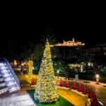 Christmas Tour in Gozo (afternoon) inc. Dinner - Who Should Consider This Tour?